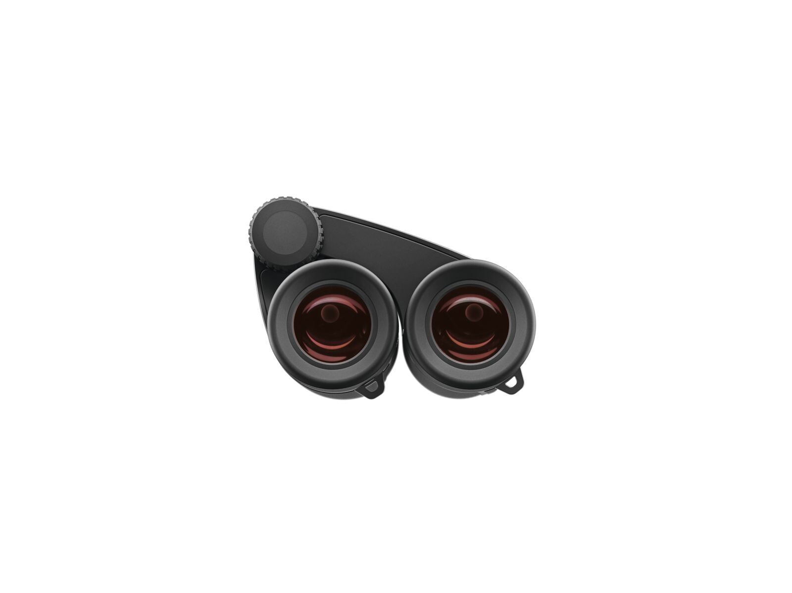 Binocular ZEISS Victory Pocket 10x25 - Imagen 3